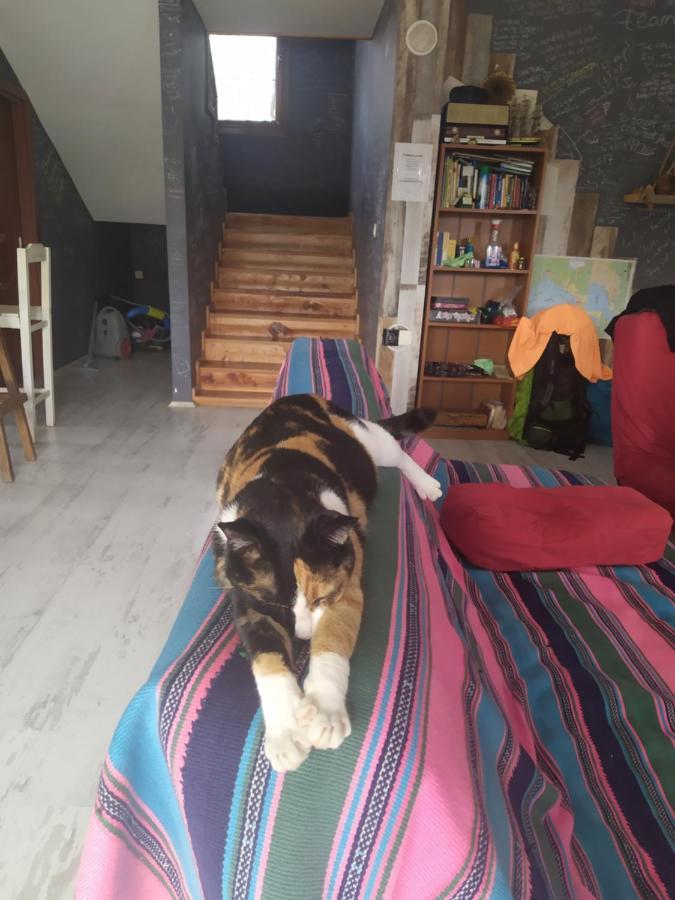 Chillsteps Hostel Fethiye Esterno foto