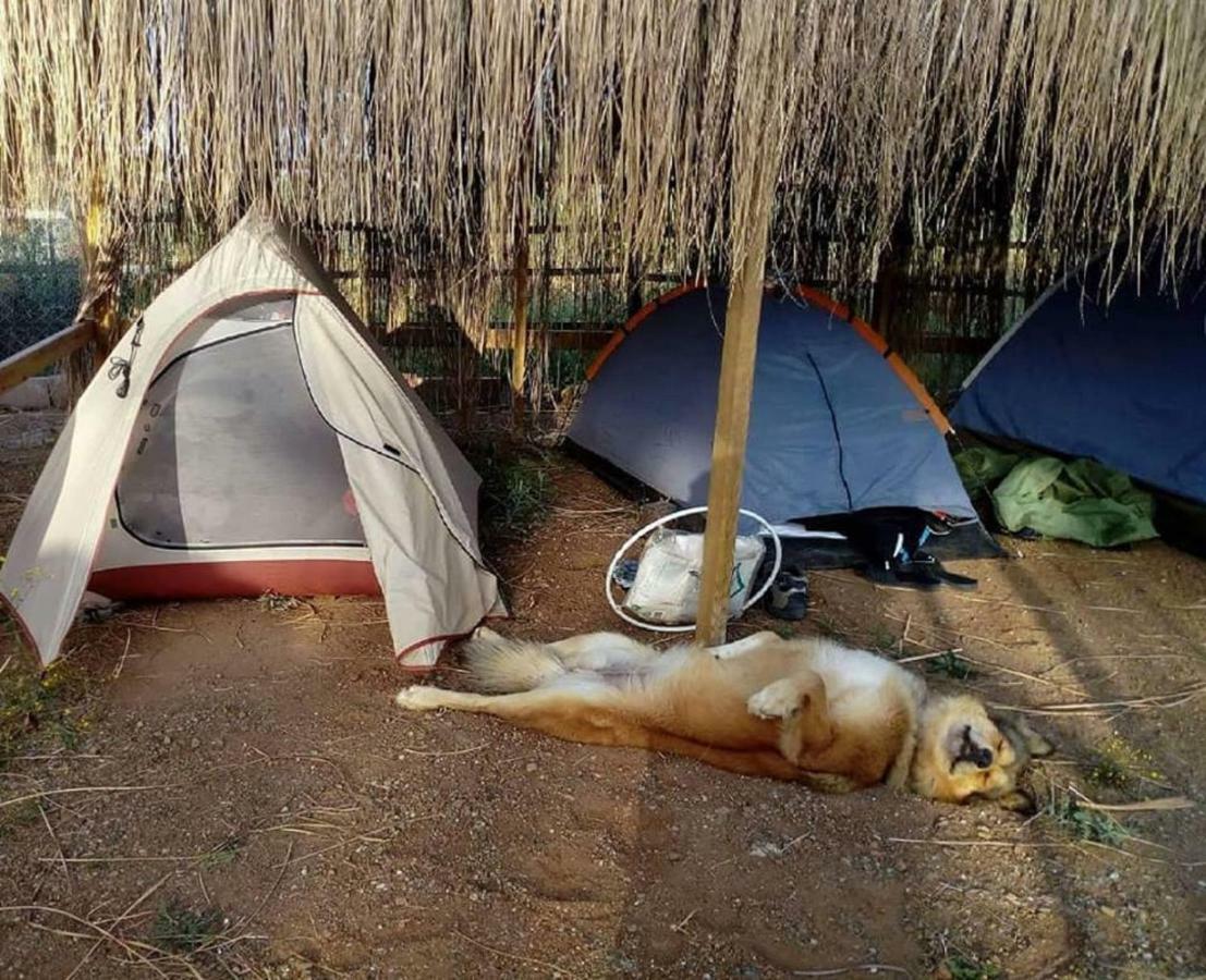 Chillsteps Hostel Fethiye Esterno foto